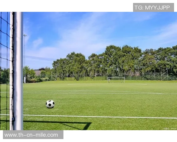 越秀区足球场的魅力与发展潜力探讨及周边设施介绍 越秀区足球场的魅力与发展潜力探讨及周边设施介绍