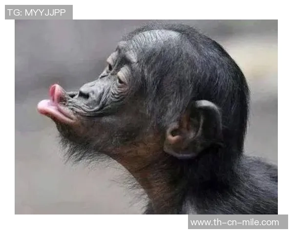 足球场上的搞笑瞬间让你捧腹大笑的幽默语录合集