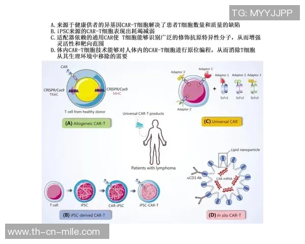 足球场经营计划探索如何提升场地利用率与观众体验的综合策略